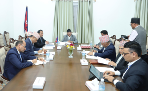 रूग्ण उद्योगहरू पुनःसञ्चालनका लागि व्यवस्थित अध्ययन गरौँ- प्रधानमन्त्री