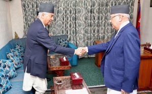 कांग्रेस-एमालेबीच के के विषयमा भयो सहमति ?
