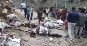 करेन्ट लागेर मुगुमा १० खच्चर मरे,स्थानीयद्वारा क्षतिपूर्तिको माग । करेन्ट लागेर मुगुमा १० खच्चर मरे,स्थानीयद्वारा क्षतिपूर्तिको माग ।