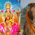 तिहारको तेस्रो दिनः आज लक्ष्मीपूजा र कुकुर तिहार एकै दिन तिहारको तेस्रो दिनः आज लक्ष्मीपूजा र कुकुर तिहार एकै दिन