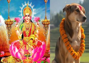तिहारको तेस्रो दिनः आज लक्ष्मीपूजा र कुकुर तिहार एकै दिन