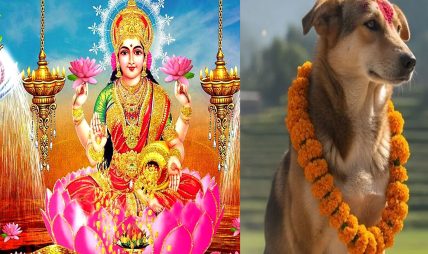 तिहारको तेस्रो दिनः आज लक्ष्मीपूजा र कुकुर तिहार एकै दिन तिहारको तेस्रो दिनः आज लक्ष्मीपूजा र कुकुर तिहार एकै दिन