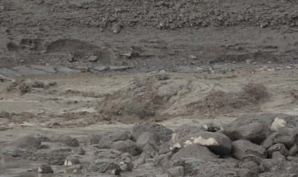 भोटेकोशी बाढी अपडेट : १ हजार ४०९ जनाको शव फेला