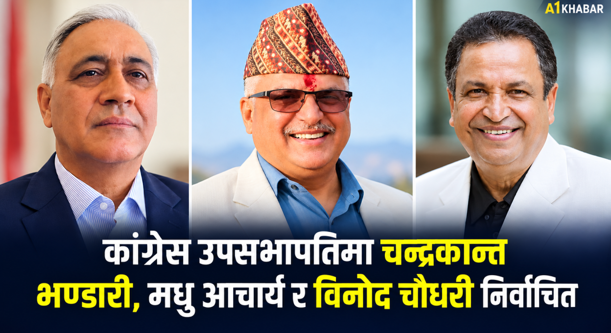 कांग्रेसको १५औँ महाधिवेशनः उपसभापतिमा चन्द्र भण्डारी, मधु आचार्य र विनोद चौधरी निर्वाचित